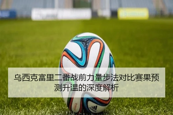 乌西克富里二番战前力量步法对比赛果预测升温的深度解析